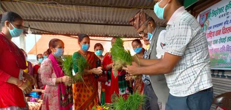 सहकारीद्धारा हिले दौड प्रतियोगिता आयोजना